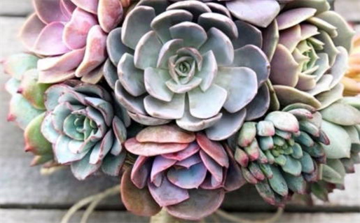 2028年04月01日是不是动土吉日 是动土建房好日子吗 2028年04月01日是不是动土吉日 是动土建房好日子吗