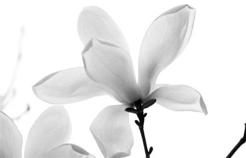 2029年农历正月初二是动土好日子吗 动土吉利吗