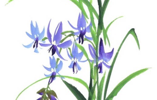 2029年02月05日动土日子如何 宜建筑房屋吉日查询