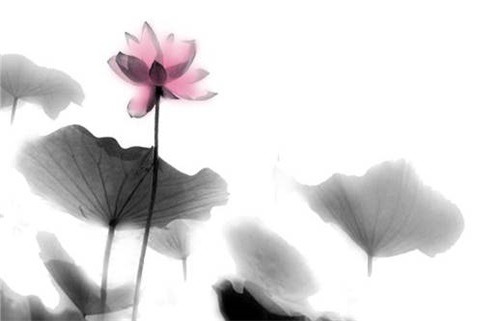 2028年农历三月廿六是动土好日子吗 宜动土建房吉日查询