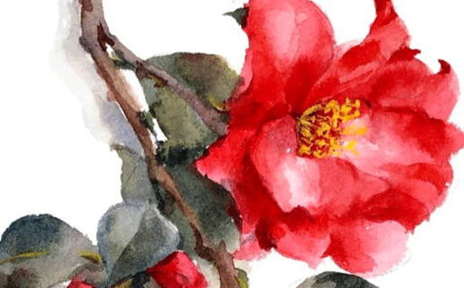 2028年01月30日动土日子如何 动土建房吉利吗 2028年01月30日动土日子如何 动土建房吉利吗