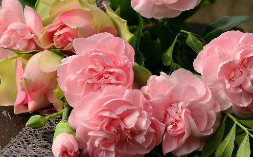 2032年12月22日结婚黄道吉日 适不适合办婚礼