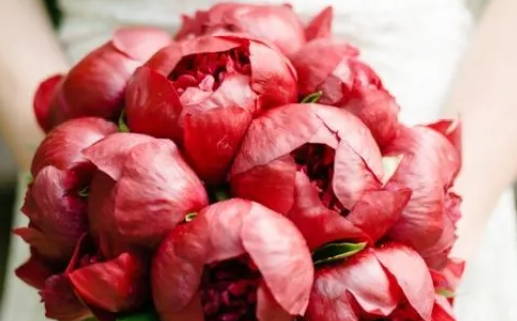 2028年05月10日结婚吉日查询 适不适合办婚礼