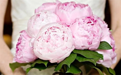 2043年农历八月廿六结婚好吗 办婚礼吉利吗