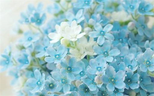 2028年农历三月十六是不是结婚吉日 今日办喜事好不好