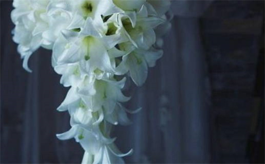 2024年农历冬月十七结婚好吗 今日办喜事好吗