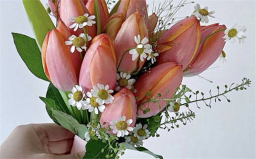 2033年农历七月廿六结婚日子如何 今日办婚礼好不好