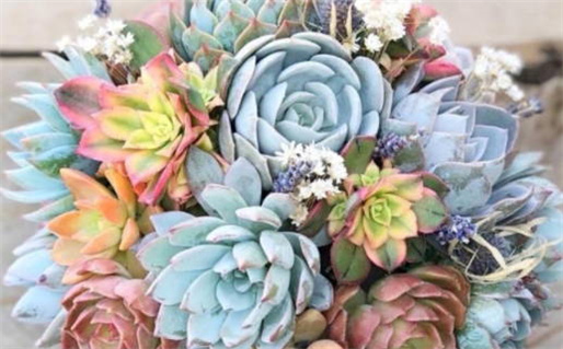 2036年04月20日是不是结婚吉日 适不适合办婚礼 2036年04月20日是不是结婚吉日 适不适合办婚礼