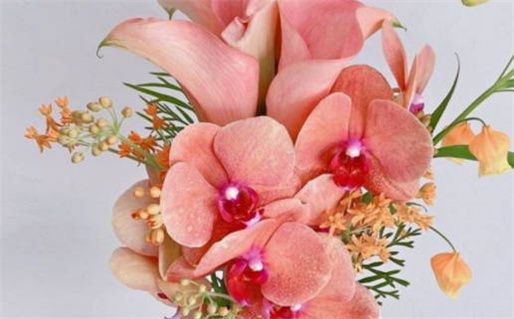 2029年01月30日结婚黄道吉日 今日办喜事好不好