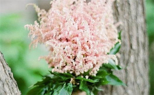 2025年农历八月十一领证好吗 登记结婚吉利吗