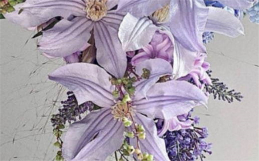 2033年农历七月初九领证好吗 今日登记领证好吗