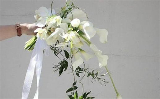 2027年农历正月十九领证吉日查询 今日登记领证好不好