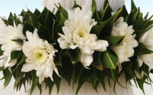 2033年01月30日领证日子如何 领证吉利吗