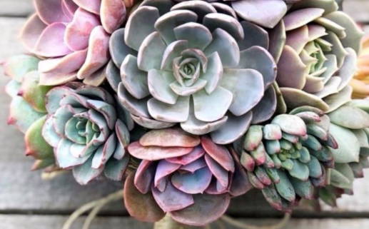 2026年02月04日领证好不好 登记结婚吉利吗