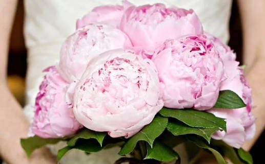 2028年农历八月初十领证吉日查询 是领证好日子吗