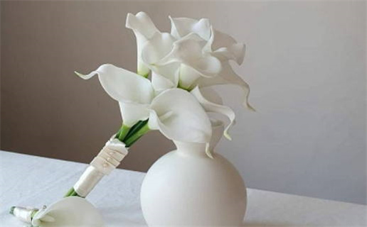 2028年06月06日是领证好日子吗 领证吉利吗