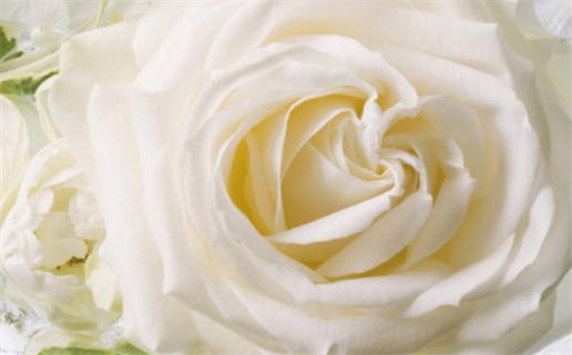 2032年03月04日是领证好日子吗 是登记结婚好日子吗