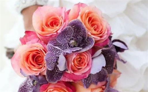 2031年07月04日领证吉日查询 今日领证好不好