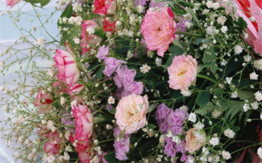 2028年农历五月十二领证日子如何 是领证结婚好日子吗