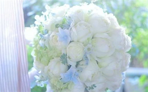 2033年农历二月十五领证日子如何 今日登记结婚好吗