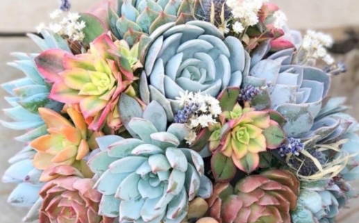 2028年农历四月初一是领证好日子吗 是登记结婚好日子吗