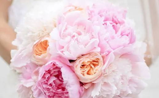 2037年11月05日领证好不好 领证结婚吉利吗