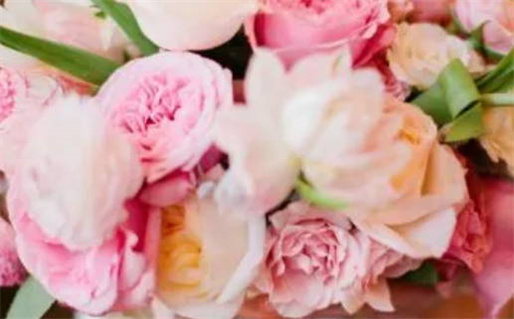 2034年农历闰冬月廿三领证日子如何 宜登记结婚吉日查询