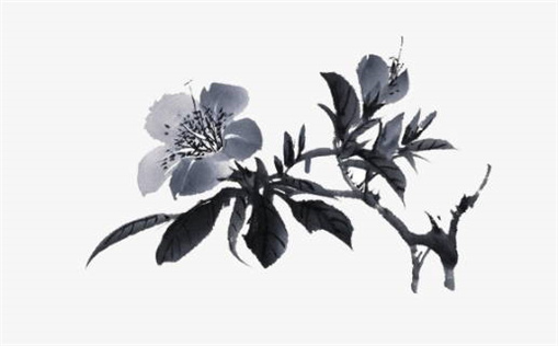 2029年农历五月十三乔迁日子如何 是乔迁新居好日子吗