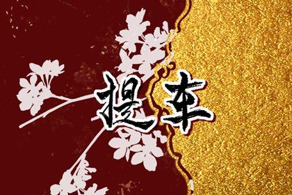 2027年农历三月廿一提车日子如何 买新车吉利吗