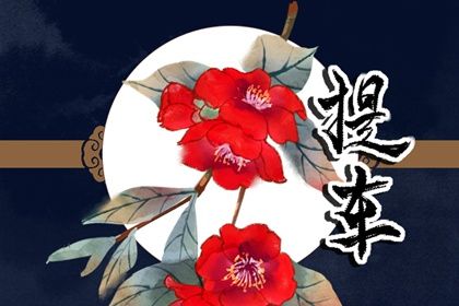 2024年农历十月初十提车黄道吉日 买新车吉利吗