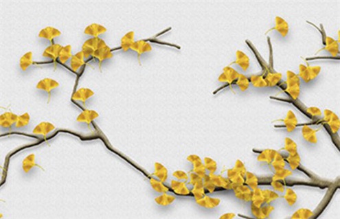 2033年01月04日装修好不好 今日装潢好不好