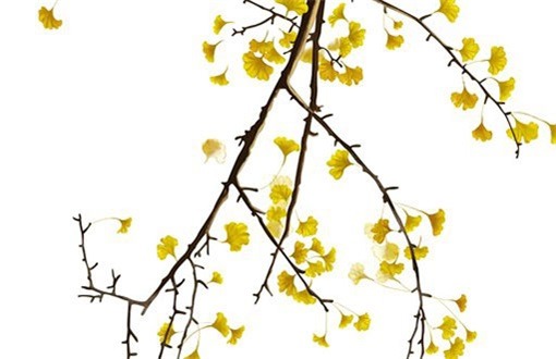 2028年06月17日装修日子如何 今日装潢房子好不好