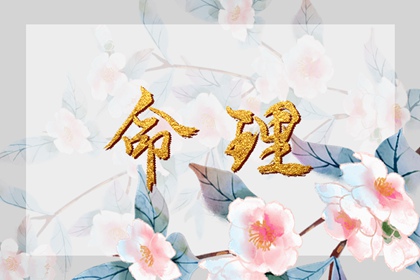 老黄历日历精准版_万年历黄道吉日测算_择日选吉精准网 老黄历万年历精准版_黄道吉日择日网_日历宜忌指南平台 今日万年历黄历查询_2026黄道吉日择日_测算平台官网