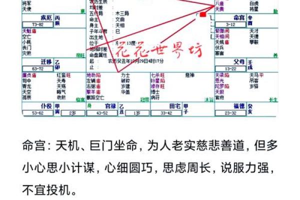 八字从哪开始断掌的命格 八字命格的断掌起始点