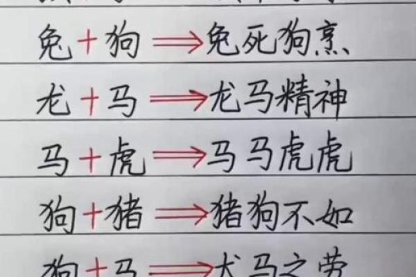 八字不合富贵命代表是生肖 生肖与八字不合富贵命的意义