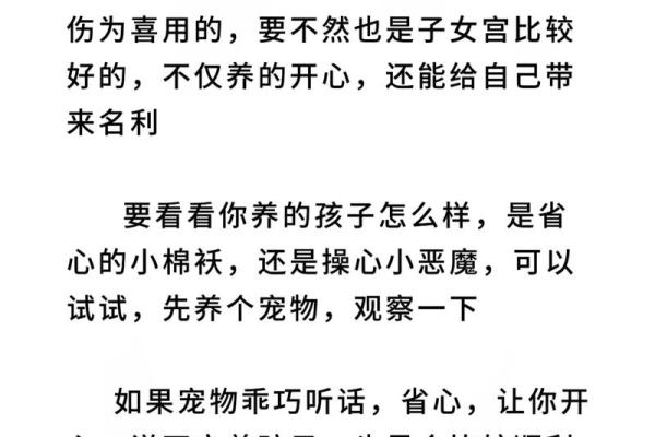 八字不适合养狗怎么解命,如何破解八字不宜养狗的命理