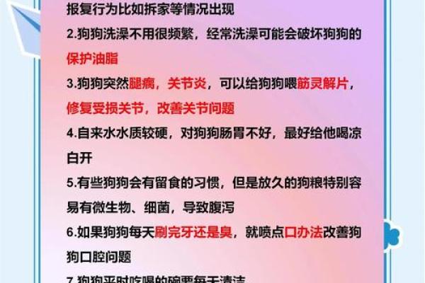 八字不适合养狗怎么解命,如何破解八字不宜养狗的命理