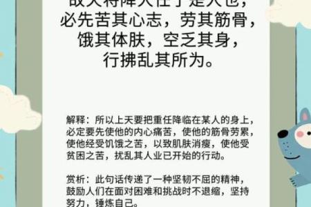 八字大是不是命硬的意思 八字较大是否代表命运坚韧