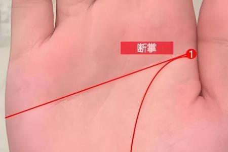 八字从哪开始断掌的命格 八字命格的断掌起始点