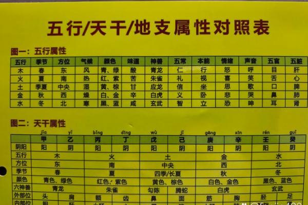 八字纯阴的命书是什么 八字纯阴命书的含义与解读