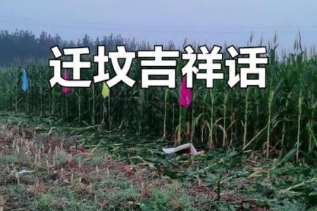 2月迁坟吉日查询（本月迁坟最佳时间）