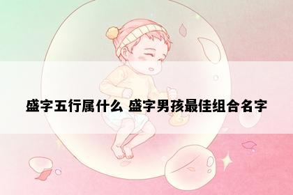 盛字五行属什么 盛字男孩最佳组合名字