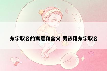 东字取名的寓意和含义 男孩用东字取名