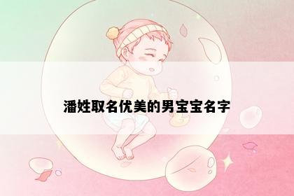 潘姓取名优美的男宝宝名字