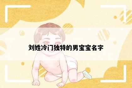 刘姓冷门独特的男宝宝名字