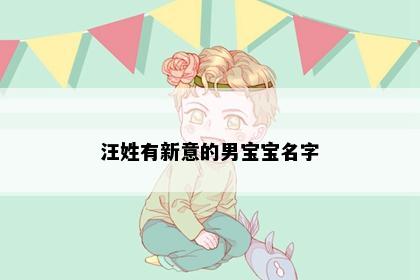 汪姓有新意的男宝宝名字