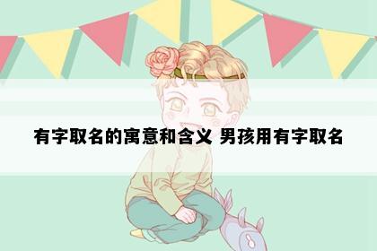 有字取名的寓意和含义 男孩用有字取名