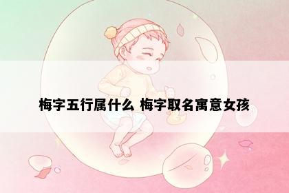 梅字五行属什么 梅字取名寓意女孩