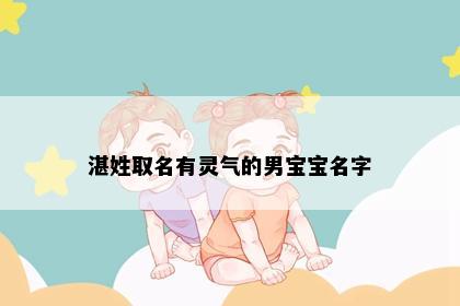 湛姓取名有灵气的男宝宝名字