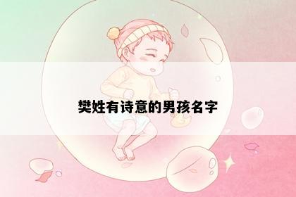樊姓有诗意的男孩名字